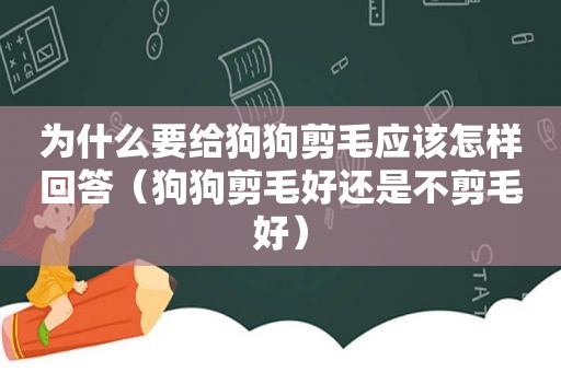 为什么要给狗狗剪毛应该怎样回答（狗狗剪毛好还是不剪毛好）