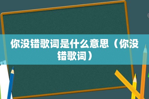 你没错歌词是什么意思（你没错歌词）