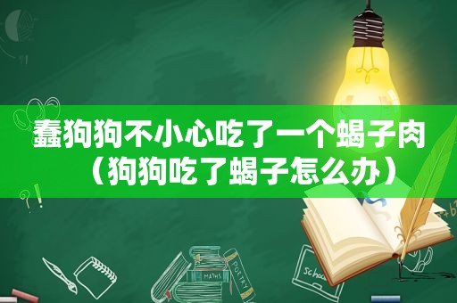 蠢狗狗不小心吃了一个蝎子肉（狗狗吃了蝎子怎么办）