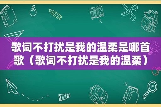 歌词不打扰是我的温柔是哪首歌（歌词不打扰是我的温柔）