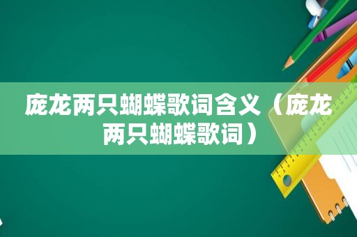 庞龙两只蝴蝶歌词含义（庞龙两只蝴蝶歌词）