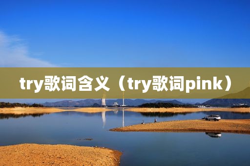 try歌词含义（try歌词pink）