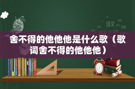 舍不得的他他他是什么歌（歌词舍不得的他他他）