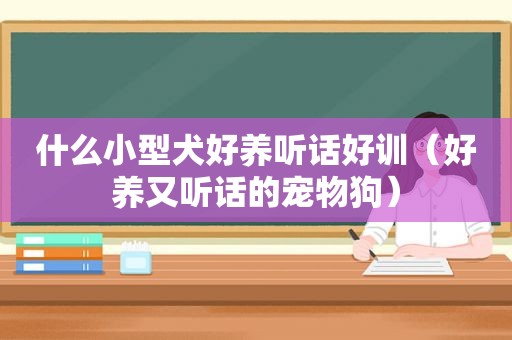 什么小型犬好养听话好训（好养又听话的宠物狗）