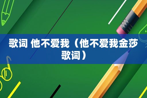 歌词 他不爱我（他不爱我金莎歌词）