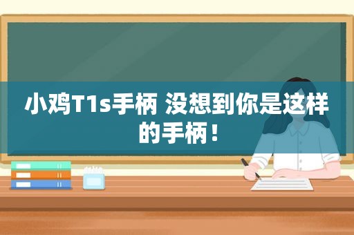 小鸡T1s手柄 没想到你是这样的手柄！