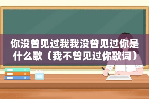 你没曾见过我我没曾见过你是什么歌（我不曾见过你歌词）