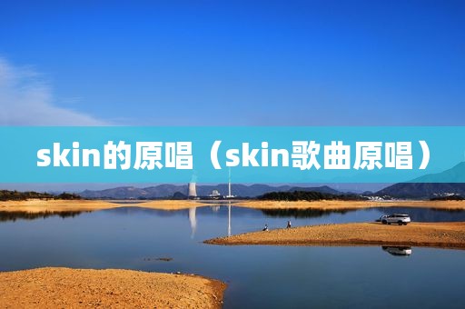 skin的原唱（skin歌曲原唱）