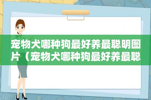 宠物犬哪种狗最好养最聪明图片（宠物犬哪种狗最好养最聪明）