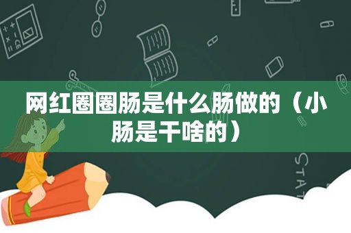 网红圈圈肠是什么肠做的（小肠是干啥的）