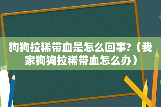 狗狗拉稀带血是怎么回事?（我家狗狗拉稀带血怎么办）