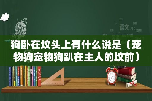 狗卧在坟头上有什么说是（宠物狗宠物狗趴在主人的坟前）