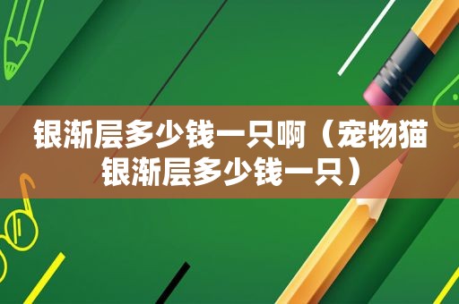 银渐层多少钱一只啊（宠物猫银渐层多少钱一只）