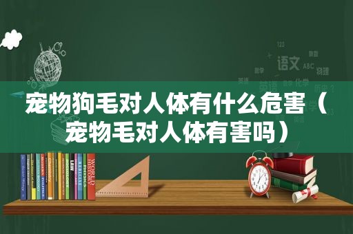 宠物狗毛对人体有什么危害（宠物毛对人体有害吗）