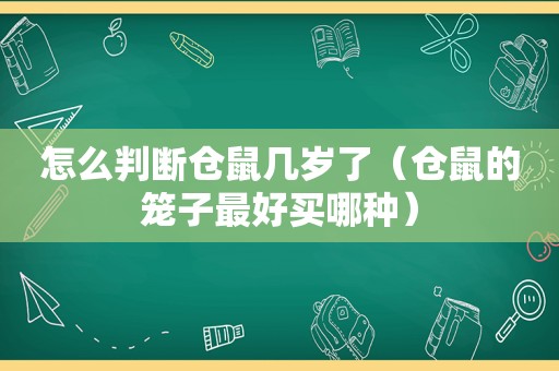 怎么判断仓鼠几岁了（仓鼠的笼子最好买哪种）