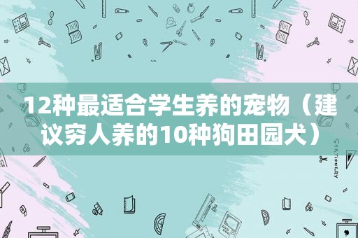 12种最适合学生养的宠物（建议穷人养的10种狗田园犬）