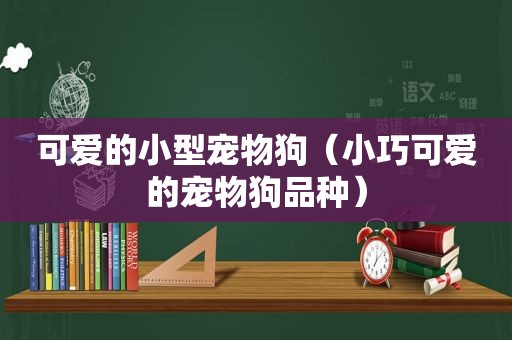 可爱的小型宠物狗（小巧可爱的宠物狗品种）