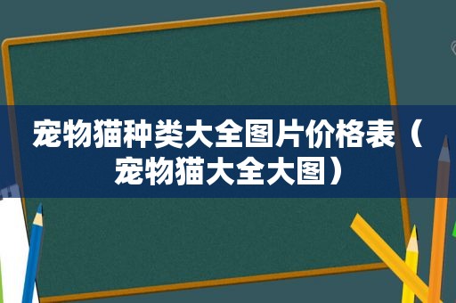 宠物猫种类大全图片价格表（宠物猫大全大图）