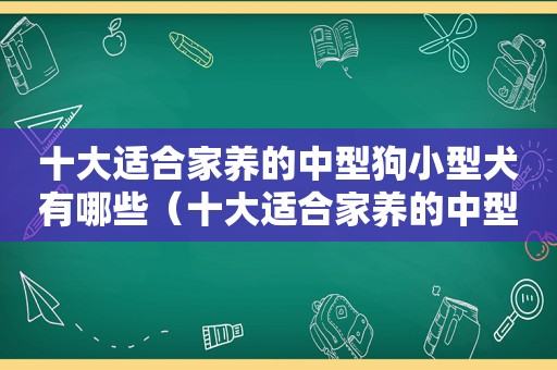 十大适合家养的中型狗小型犬有哪些（十大适合家养的中型狗小型犬）