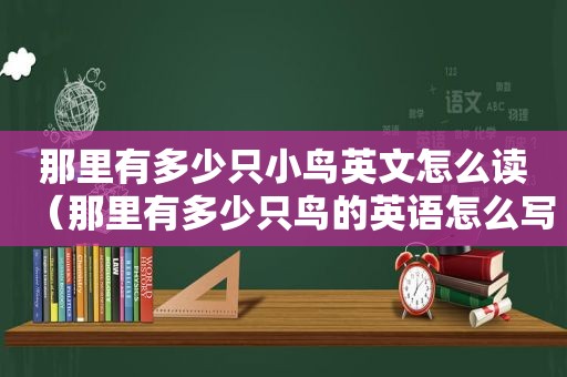 那里有多少只小鸟英文怎么读（那里有多少只鸟的英语怎么写）