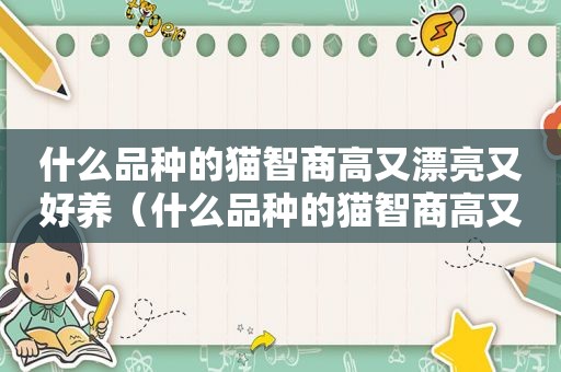 什么品种的猫智商高又漂亮又好养（什么品种的猫智商高又漂亮）