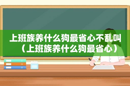 上班族养什么狗最省心不乱叫（上班族养什么狗最省心）