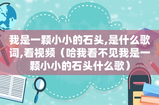 我是一颗小小的石头,是什么歌词,看视频（哈我看不见我是一颗小小的石头什么歌）