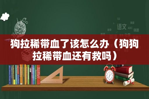 狗拉稀带血了该怎么办（狗狗拉稀带血还有救吗）