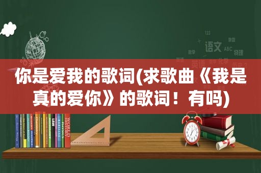 你是爱我的歌词(求歌曲《我是真的爱你》的歌词！有吗)