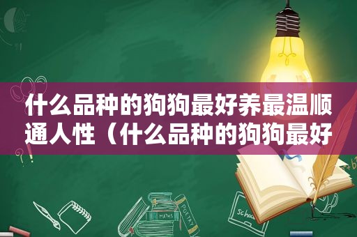 什么品种的狗狗最好养最温顺通人性（什么品种的狗狗最好养）