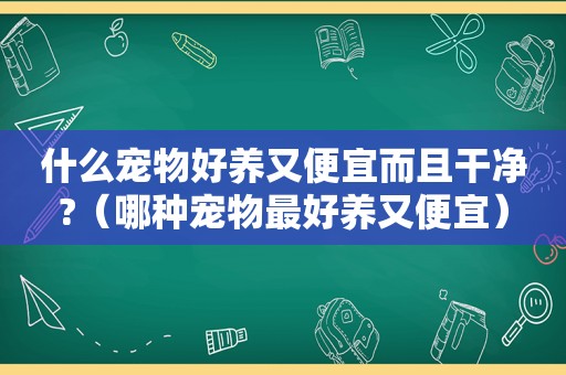 什么宠物好养又便宜而且干净?（哪种宠物最好养又便宜）