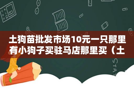 土狗苗批发市场10元一只那里有小狗子买驻马店那里买（土狗苗批发市场10元一只）