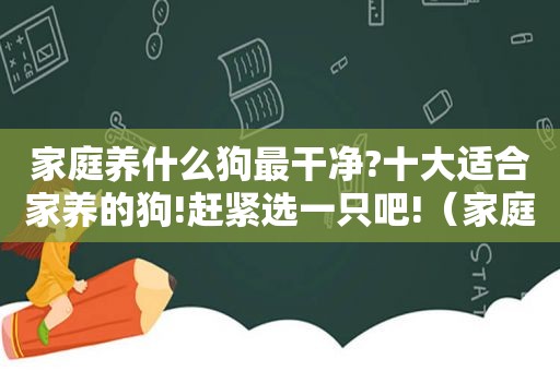 家庭养什么狗最干净?十大适合家养的狗!赶紧选一只吧!（家庭养什么狗最干净）