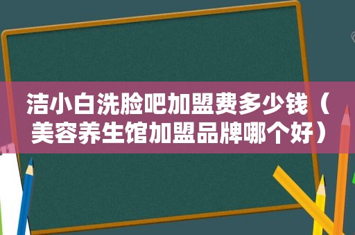 洁小白洗脸吧加盟费多少钱（美容养生馆加盟品牌哪个好）