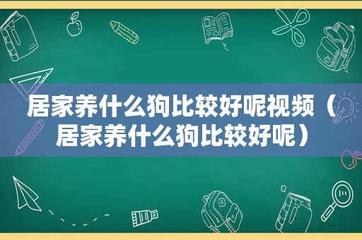 居家养什么狗比较好呢视频（居家养什么狗比较好呢）