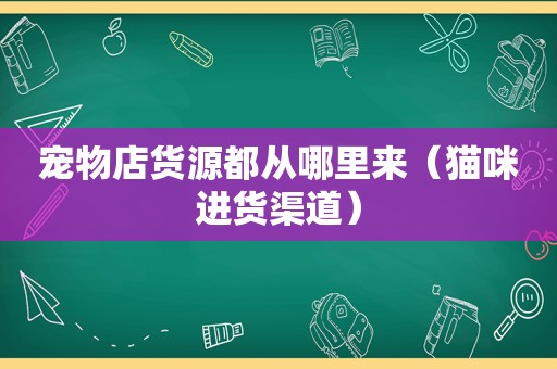 宠物店货源都从哪里来（猫咪进货渠道）