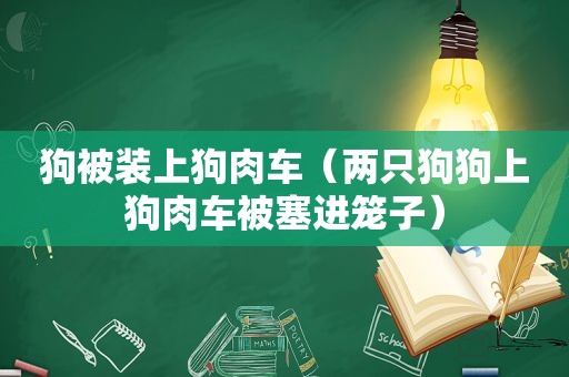 狗被装上狗肉车（两只狗狗上狗肉车被塞进笼子）