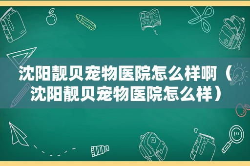 沈阳靓贝宠物医院怎么样啊（沈阳靓贝宠物医院怎么样）