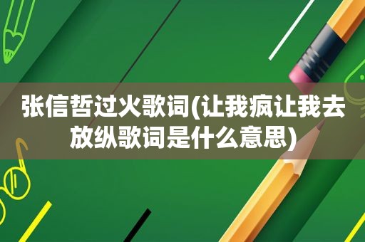 张信哲过火歌词(让我疯让我去放纵歌词是什么意思)