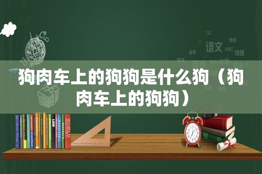 狗肉车上的狗狗是什么狗（狗肉车上的狗狗）