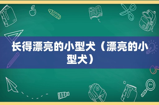 长得漂亮的小型犬（漂亮的小型犬）