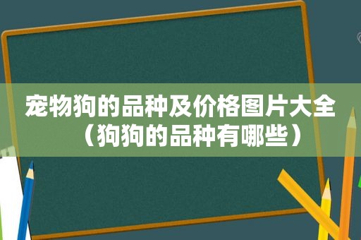 宠物狗的品种及价格图片大全（狗狗的品种有哪些）