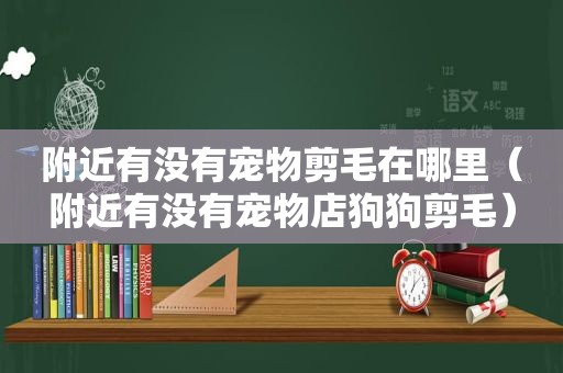 附近有没有宠物剪毛在哪里（附近有没有宠物店狗狗剪毛）