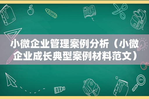 小微企业管理案例分析（小微企业成长典型案例材料范文）