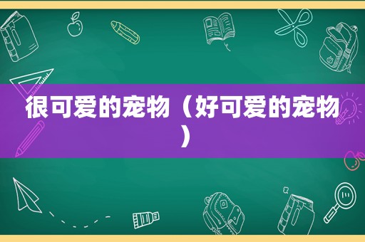 很可爱的宠物（好可爱的宠物）