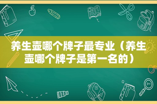 养生壶哪个牌子最专业（养生壶哪个牌子是第一名的）