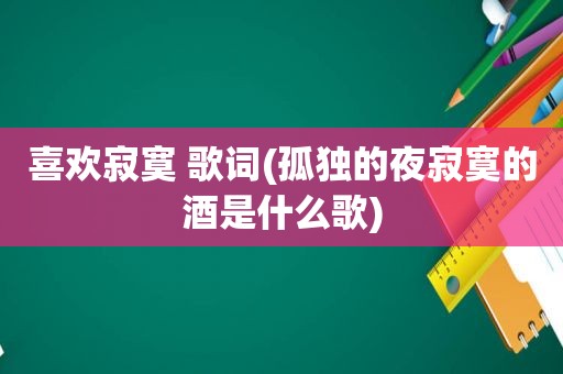 喜欢寂寞 歌词(孤独的夜寂寞的酒是什么歌)