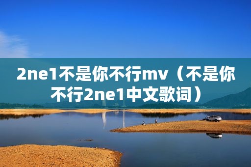 2ne1不是你不行mv（不是你不行2ne1中文歌词）