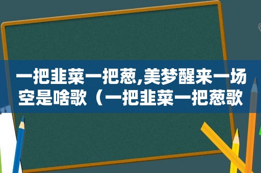 一把韭菜一把葱,美梦醒来一场空是啥歌（一把韭菜一把葱歌词）