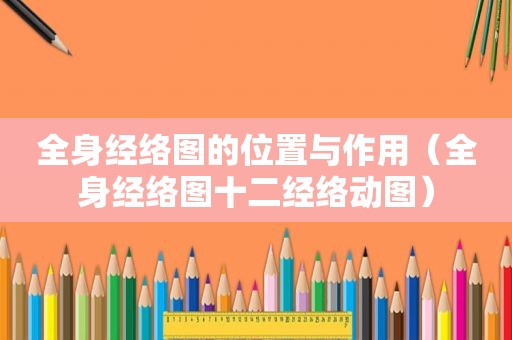 全身经络图的位置与作用（全身经络图十二经络动图）